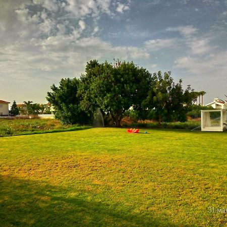 Constantaras Apartments Protaras Exteriér fotografie